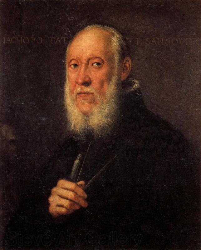 Jacopo Tintoretto Portrait of Jacopo Sansovino Norge oil painting art